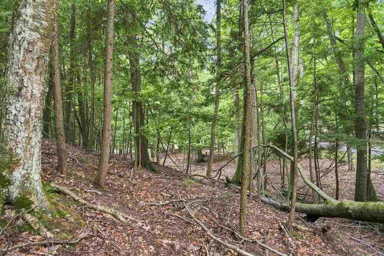 1358 Timber Pass