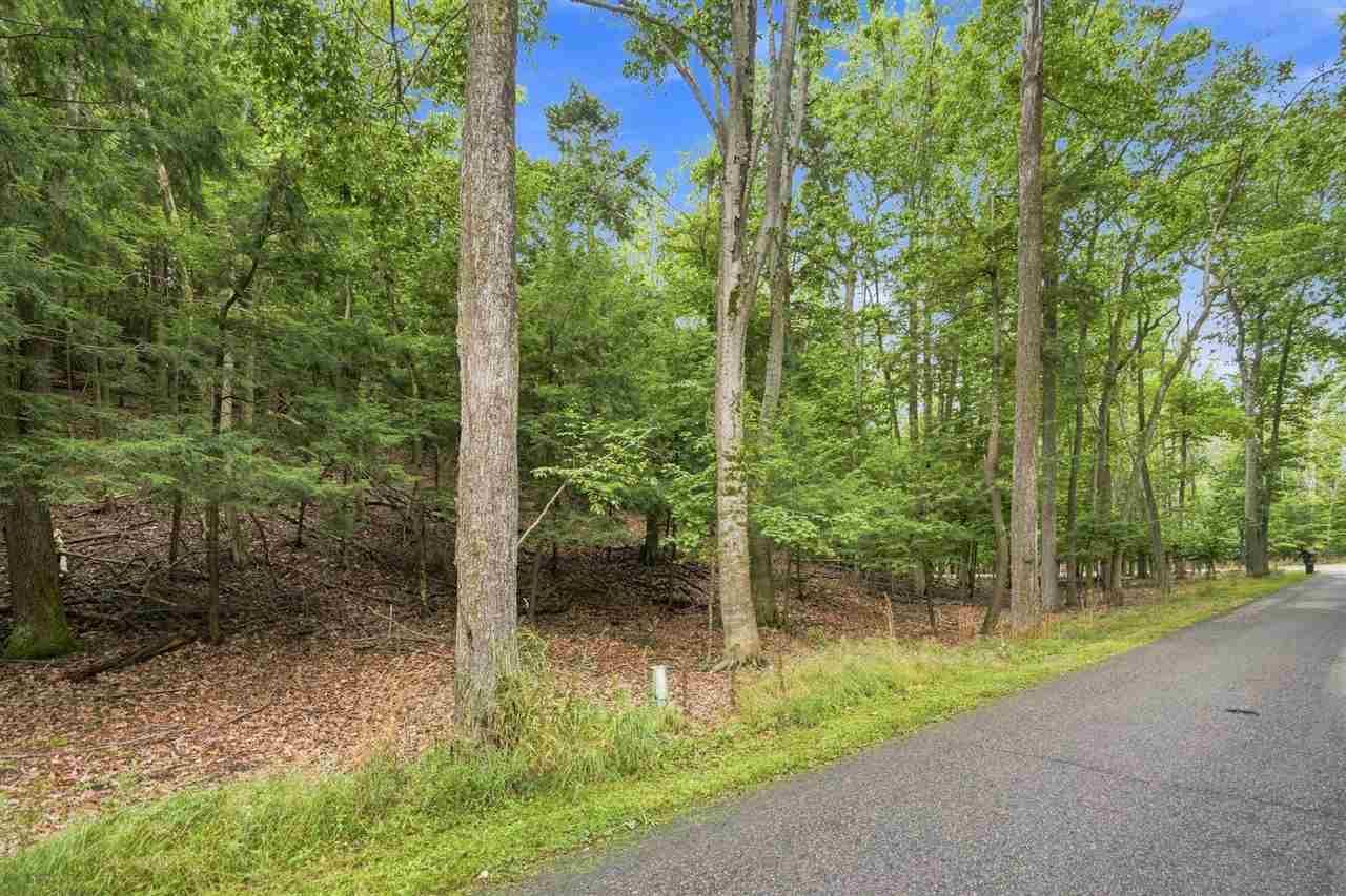 1358 Timber Pass