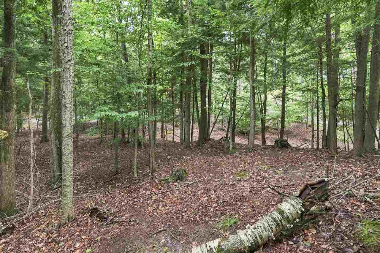 1358 Timber Pass