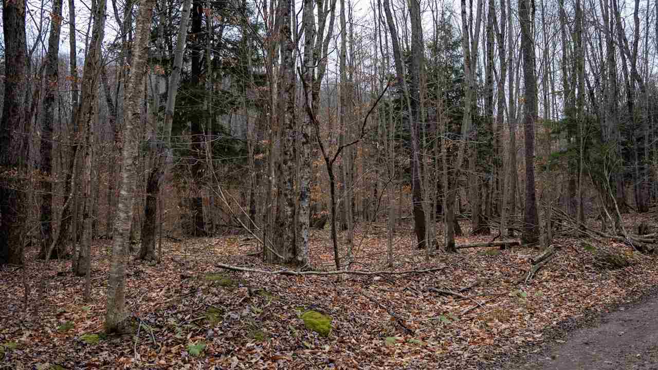 TBD Brookwood Hills Drive