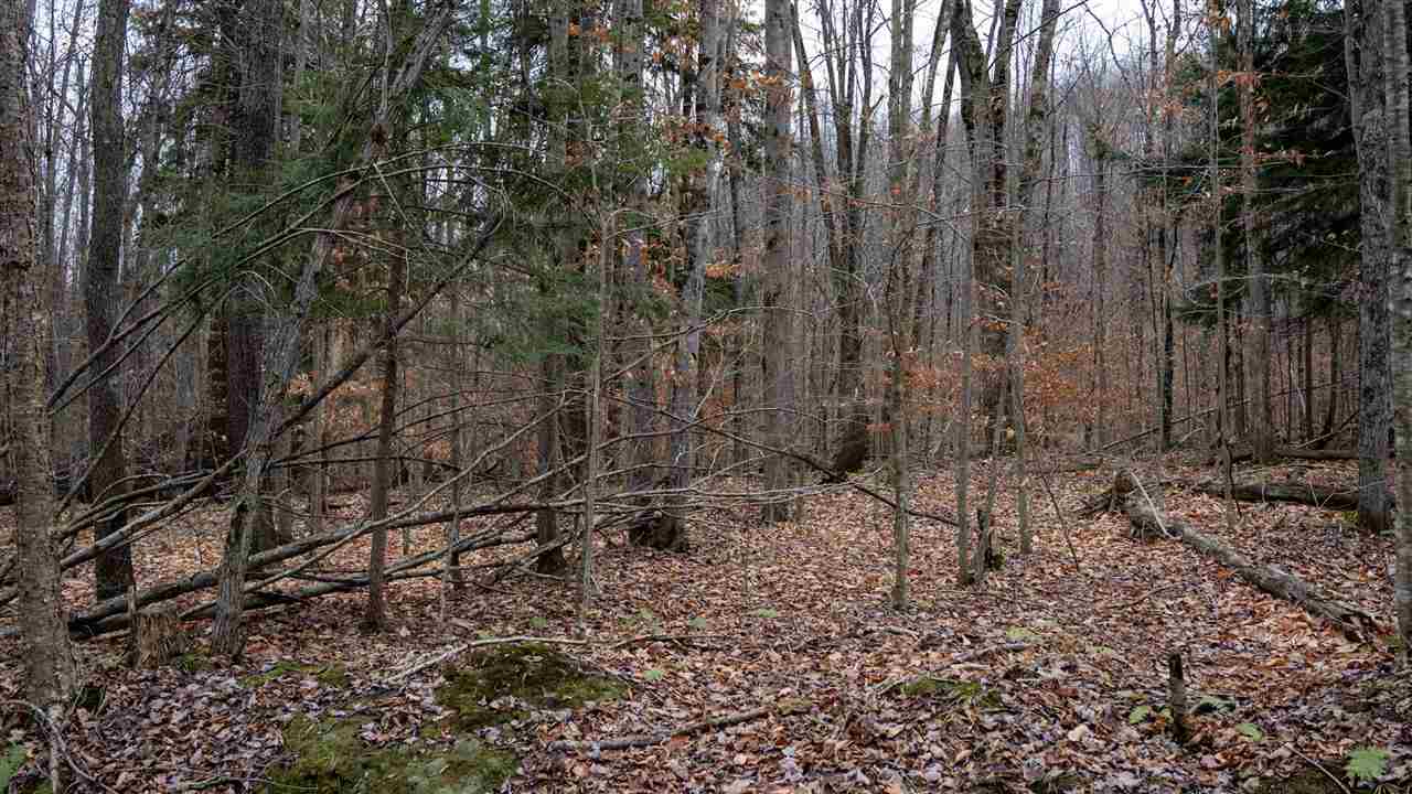 TBD Brookwood Hills Drive