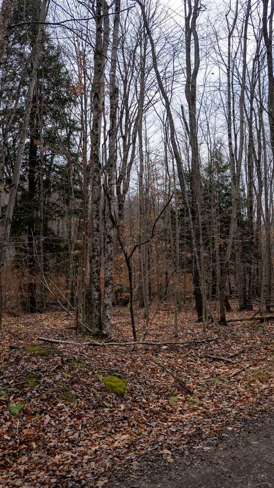 TBD Brookwood Hills Drive