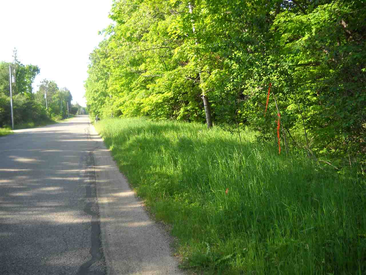 Harbor Springs, Michigan 49740, United States, ,Land,Active,55720