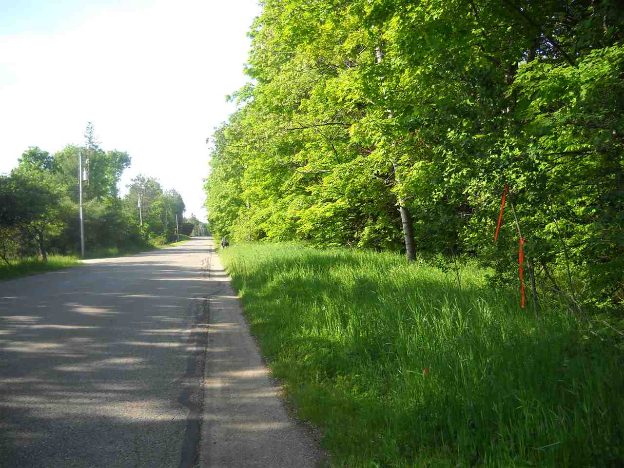 Harbor Springs, Michigan 49740, United States, ,Land,Active,55720