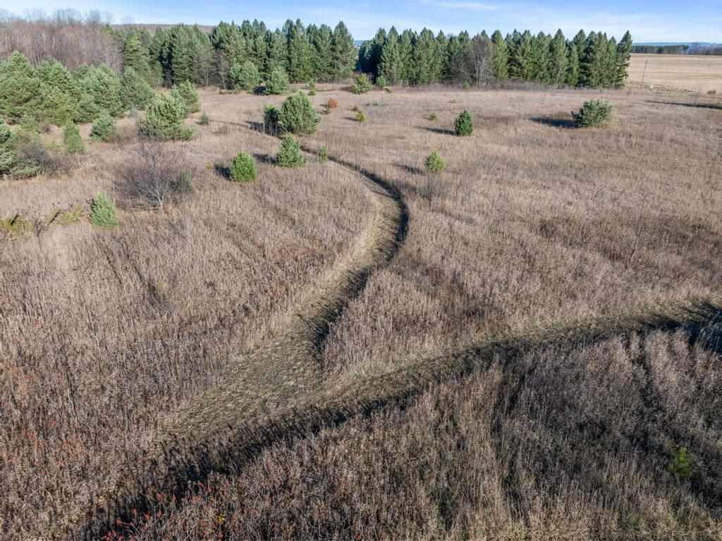 Petoskey, Michigan 49770, United States, 4 Bedrooms Bedrooms, ,2 BathroomsBathrooms,Residential,Active,31871