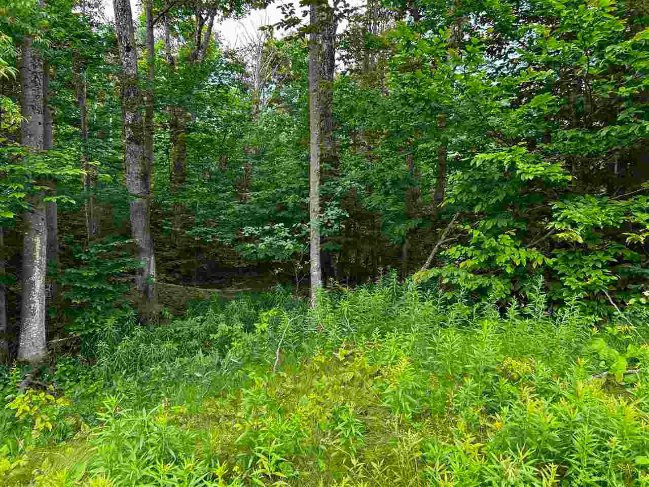 Lot 10 Maple Ridge Street