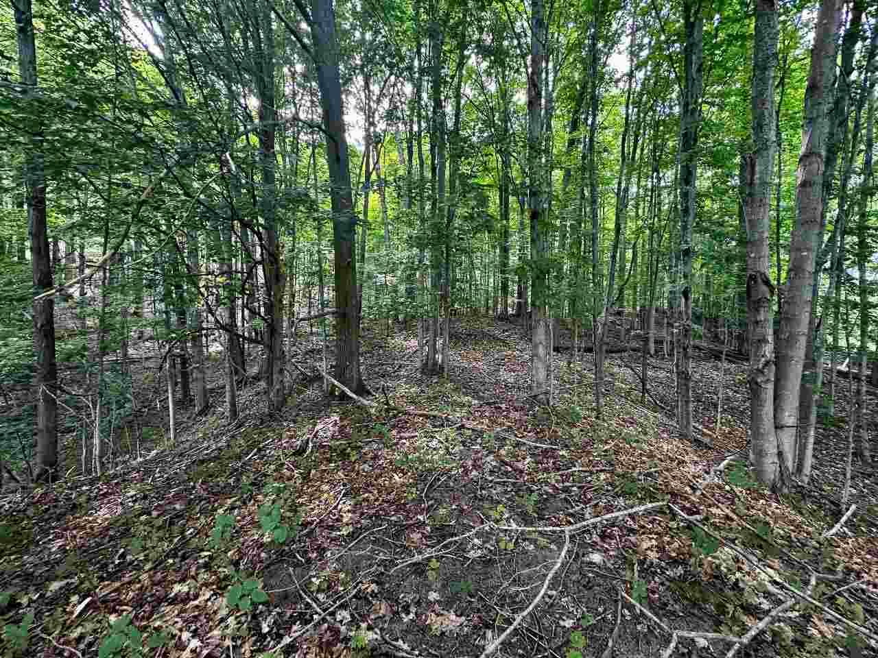 Boyne Falls, Michigan 49713, United States, ,Land,Active,180341