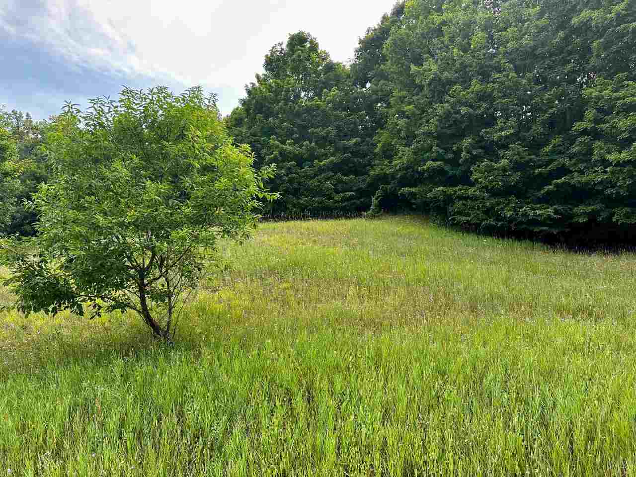 Boyne Falls, Michigan 49713, United States, ,Land,Active,180341