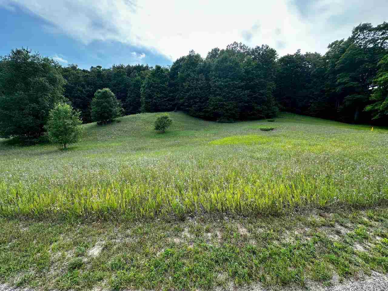 Boyne Falls, Michigan 49713, United States, ,Land,Active,180341