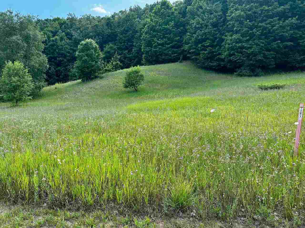 Boyne Falls, Michigan 49713, United States, ,Land,Active,180341