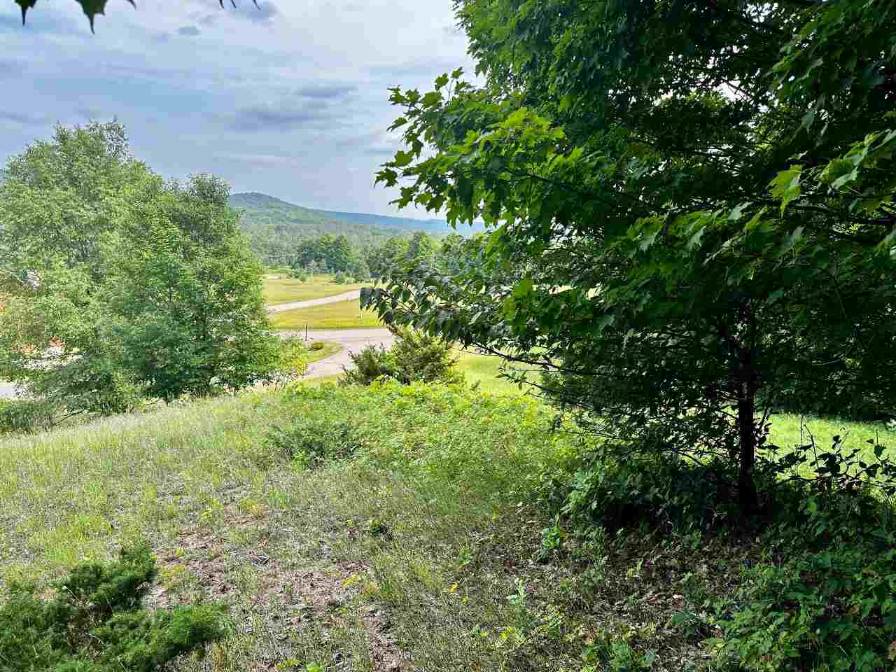 Boyne Falls, Michigan 49713, United States, ,Land,Active,180341