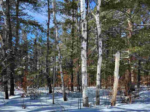 9960 Northridge Dr. Mancelona MI 49659