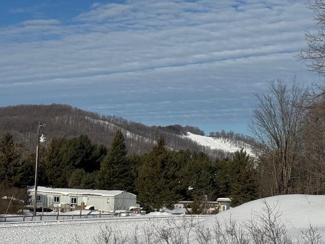 Boyne Falls, Michigan 49713, United States, ,Land,Active,11180