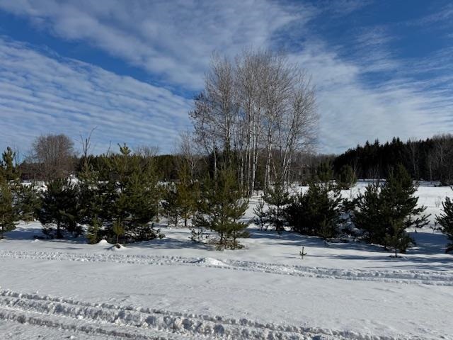 Boyne Falls, Michigan 49713, United States, ,Land,Active,11180