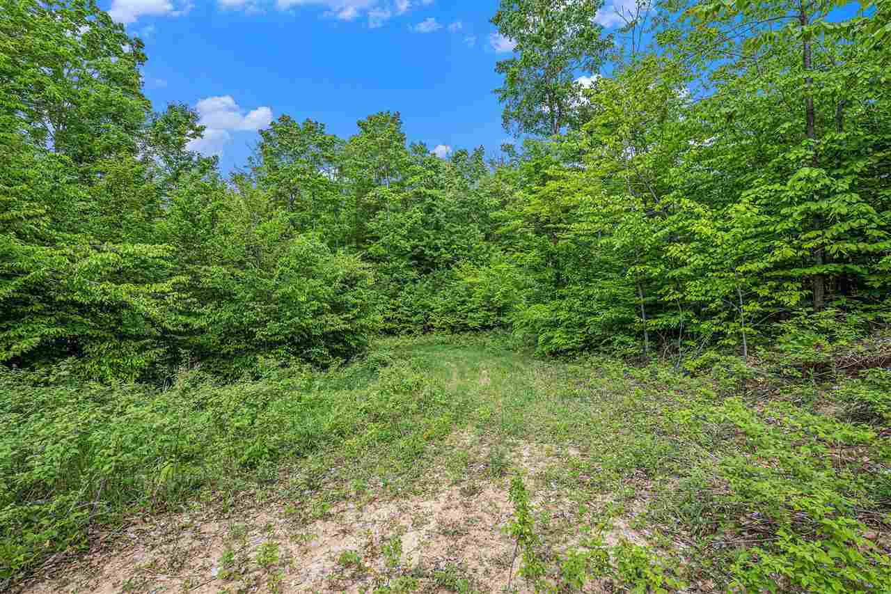 Lot 3 High Pines Trail