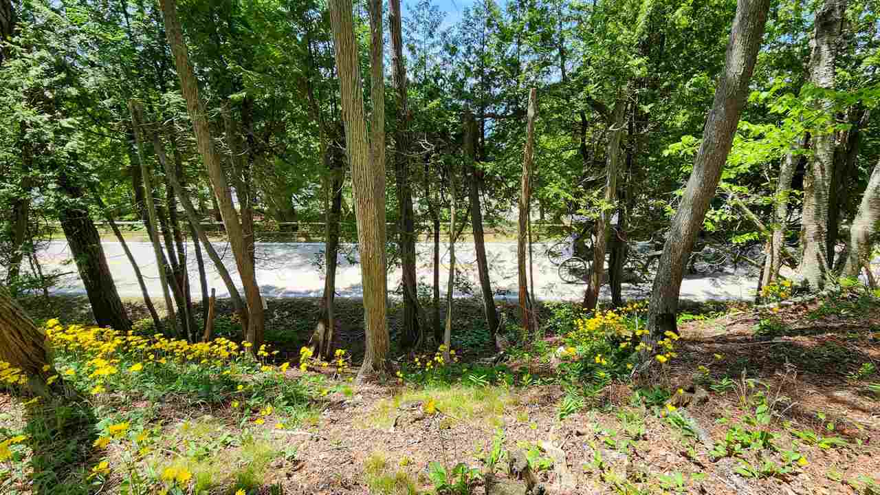 Mackinac Island, Michigan 49757, United States, ,Land,Active,174414