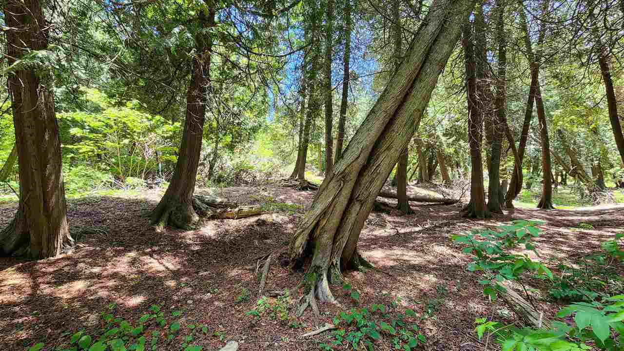 Mackinac Island, Michigan 49757, United States, ,Land,Active,174414