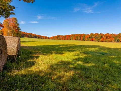 Photo for TBD M-32 Highway