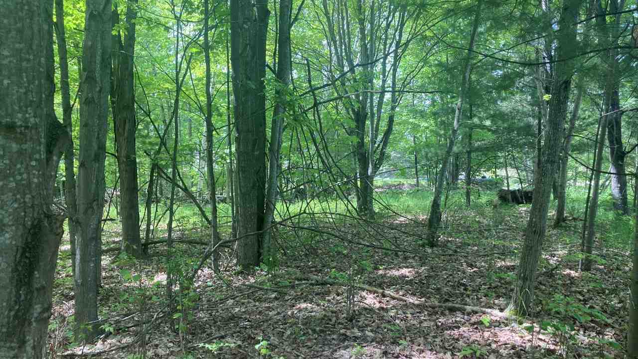 Kalkaska, Michigan 49676, United States, ,Land,Active,174178