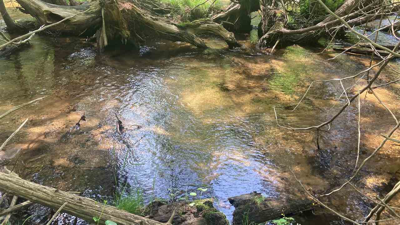 Kalkaska, Michigan 49676, United States, ,Land,Active,174178