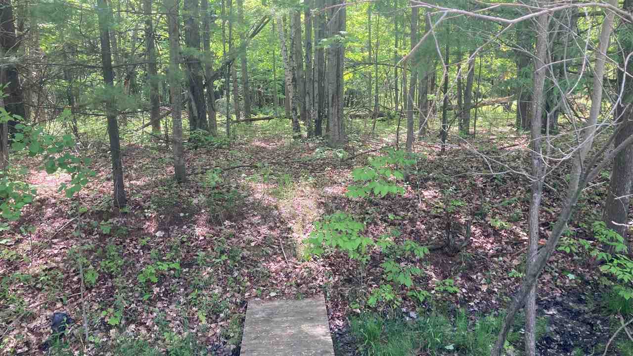 Kalkaska, Michigan 49676, United States, ,Land,Active,174178