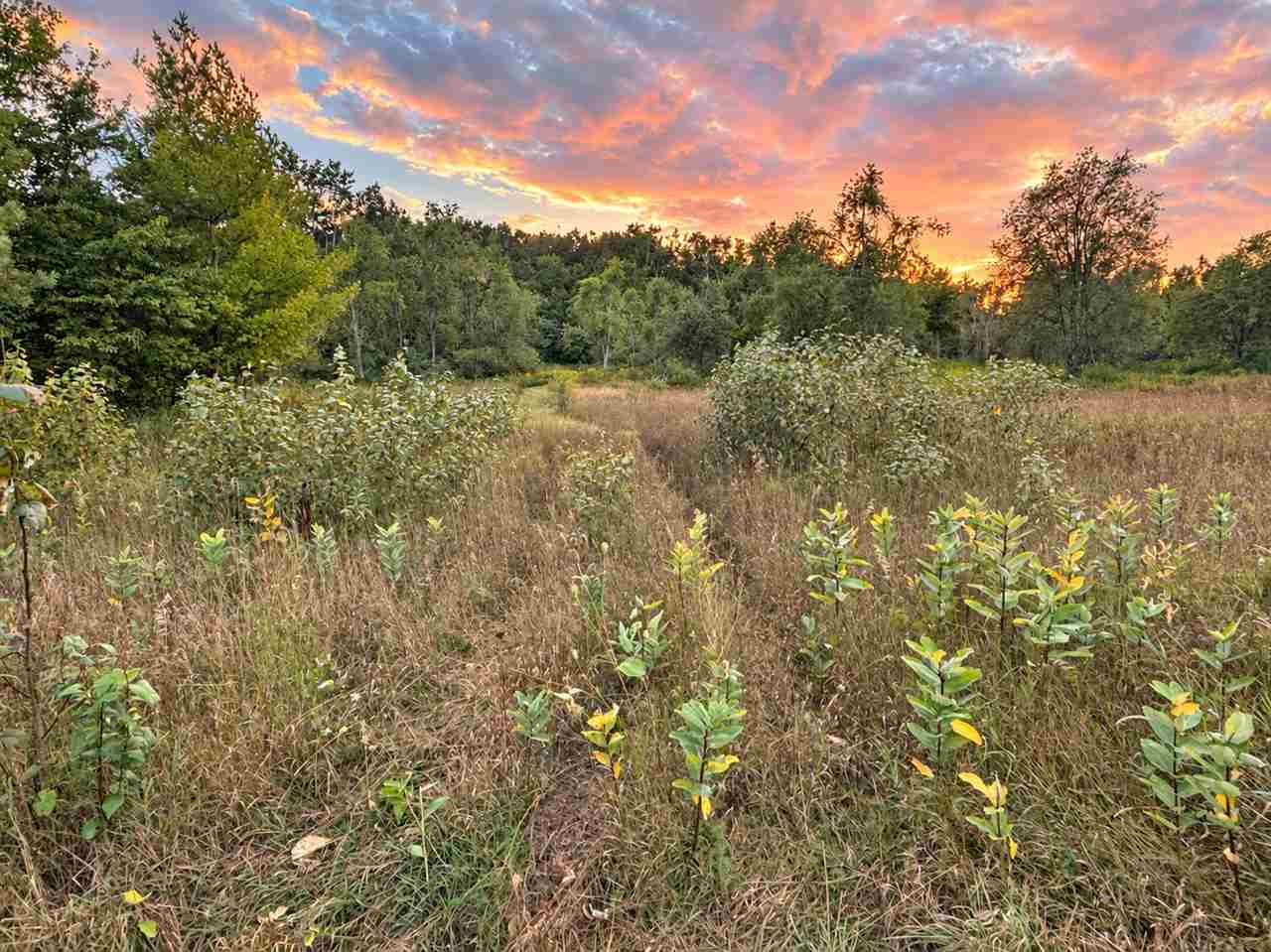 4667 W STUTSMANVILLE Road