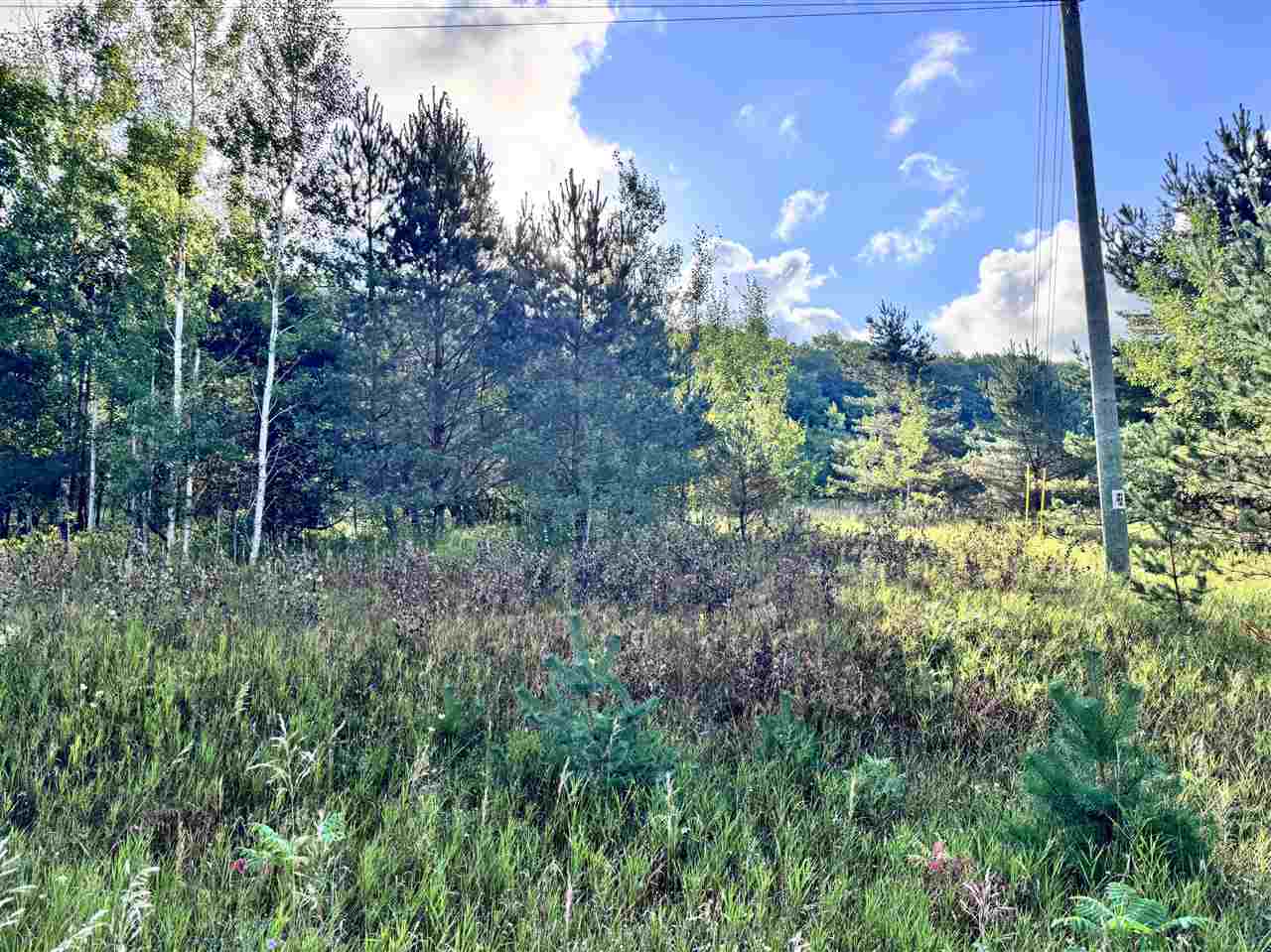 East Jordan, Michigan 49727, United States, ,Land,Active,197890