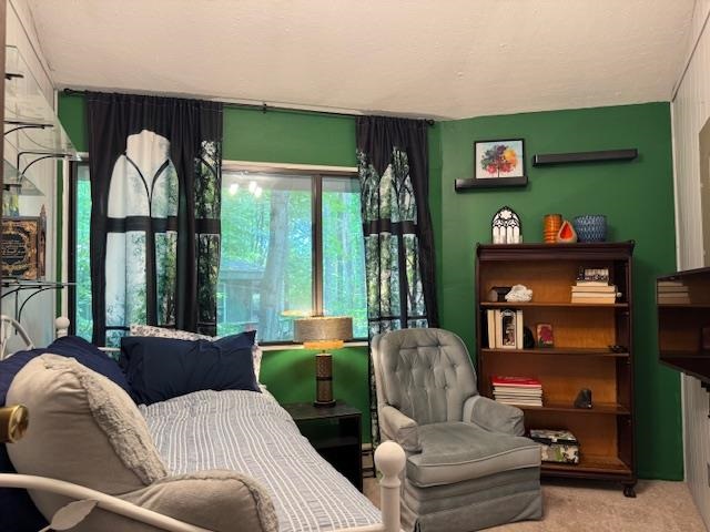 Boyne City, Michigan 49712, United States, 3 Bedrooms Bedrooms, ,1 BathroomBathrooms,Residential,Active,219638