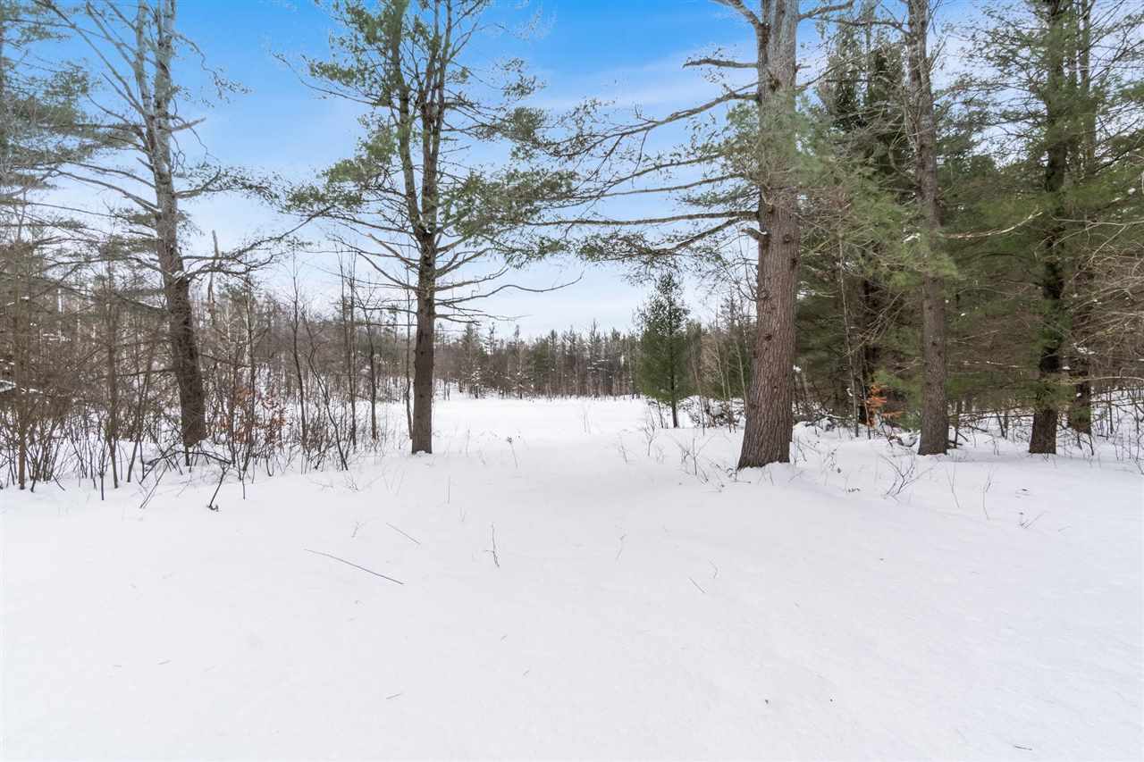 Elmira, Michigan 49730, United States, 3 Bedrooms Bedrooms, ,2 BathroomsBathrooms,Residential,Active,256807