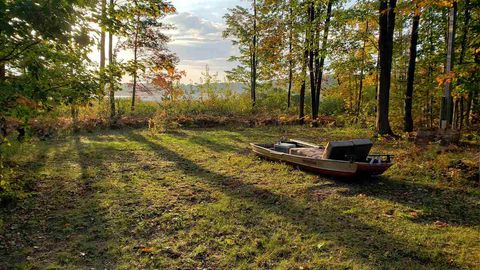 10850 Mackinaw Highway Carp Lake MI 49718