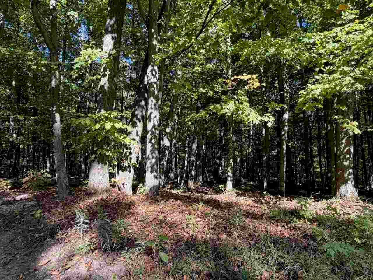 5705 Point O' Woods