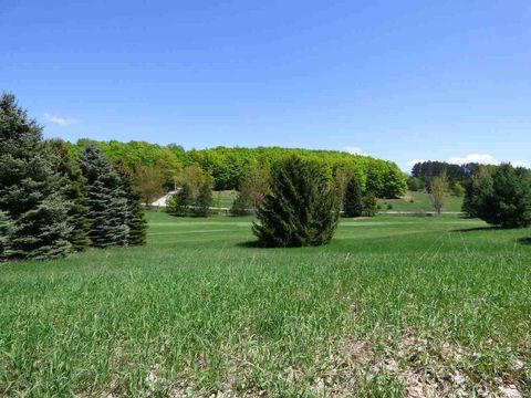 Unit 37 Golf Meadows Drive Bellaire MI 49615