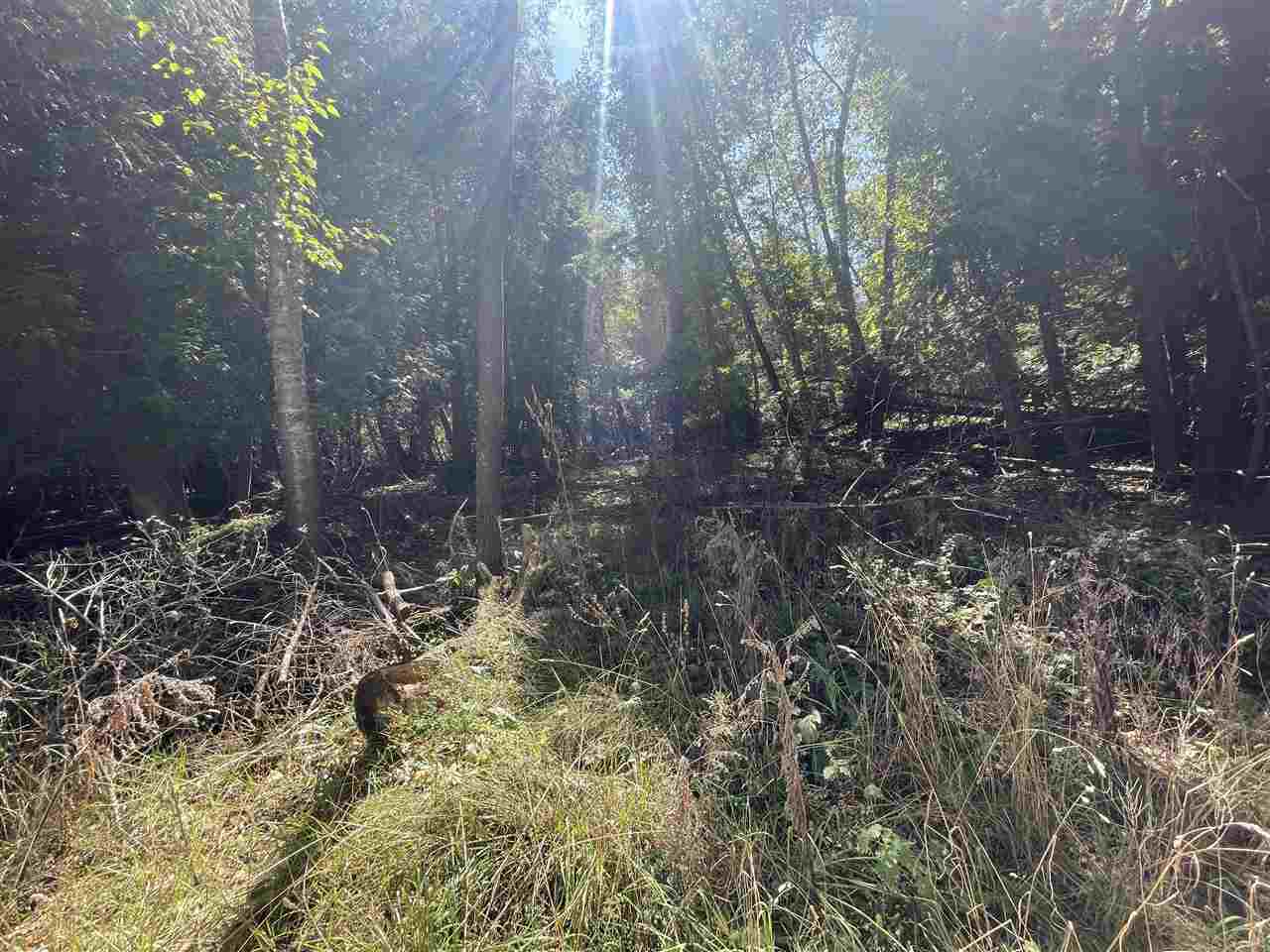 Charlevoix, Michigan 49720, United States, ,Land,Active,44627