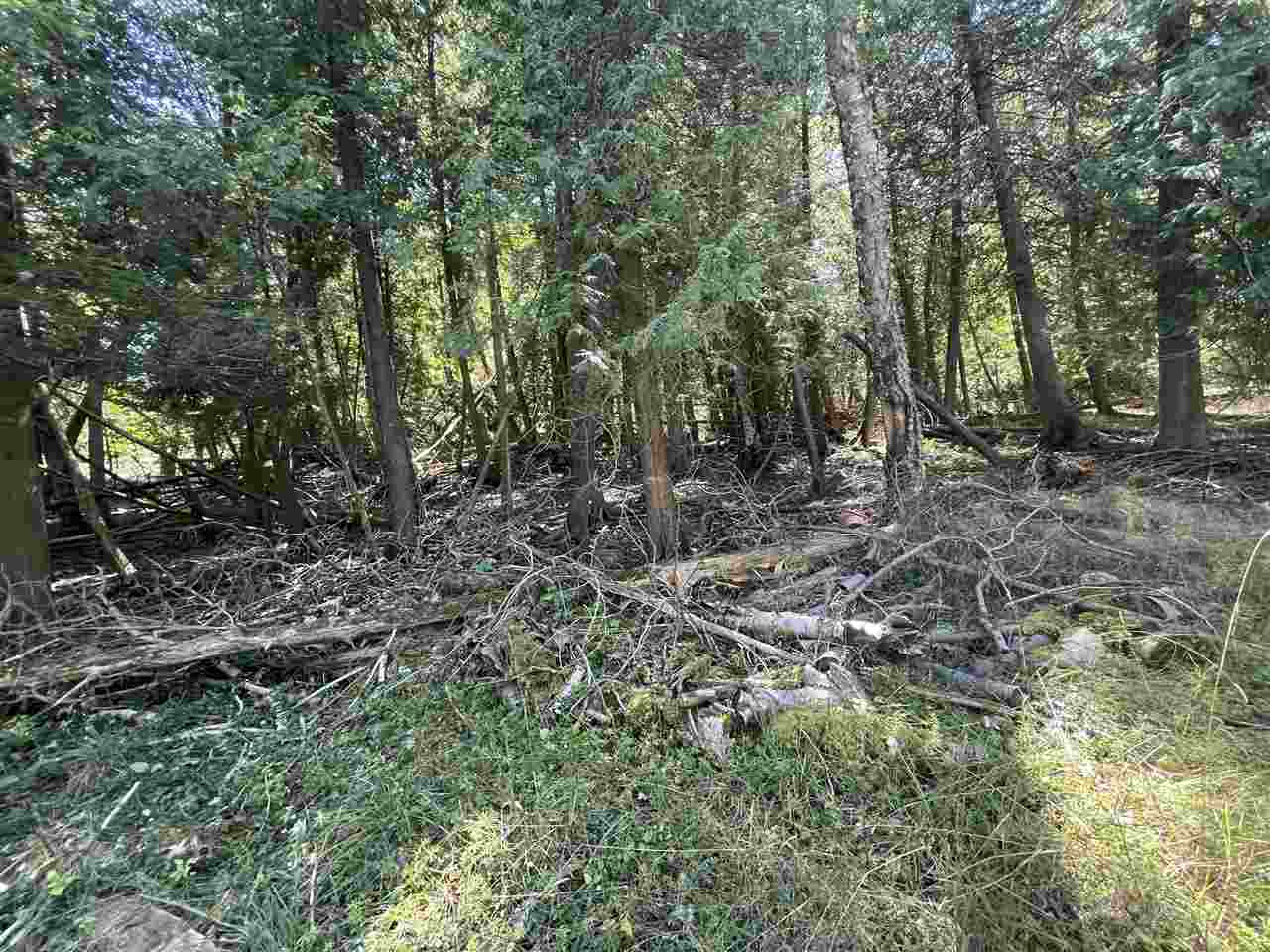 Charlevoix, Michigan 49720, United States, ,Land,Active,44627