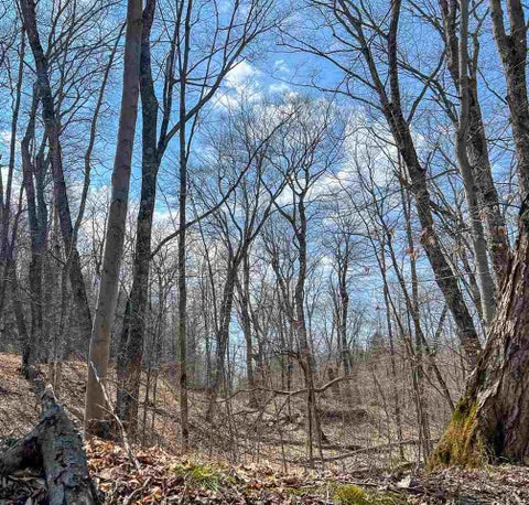 Photo for Lot 247 White Birch Road