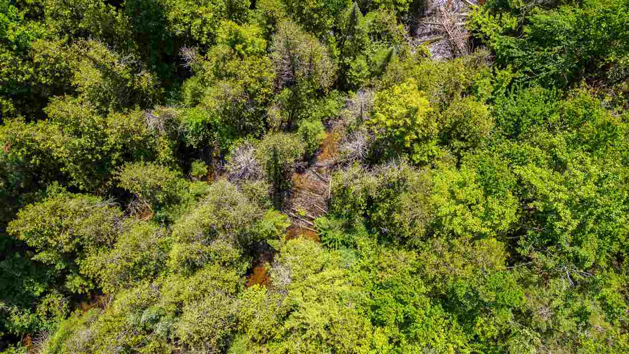 Vanderbilt, Michigan 49795, United States, 4 Bedrooms Bedrooms, ,3 BathroomsBathrooms,Residential,Active,8965