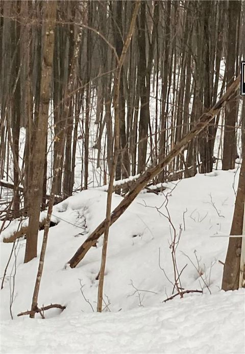 TDB Marshall Boyne City MI 49712