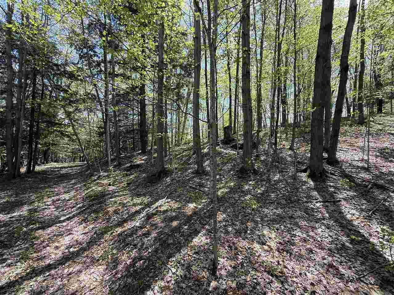 Central Lake, Michigan 49622, United States, ,Land,Active,133712