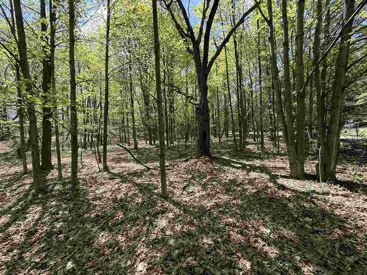 Central Lake, Michigan 49622, United States, ,Land,Active,133712