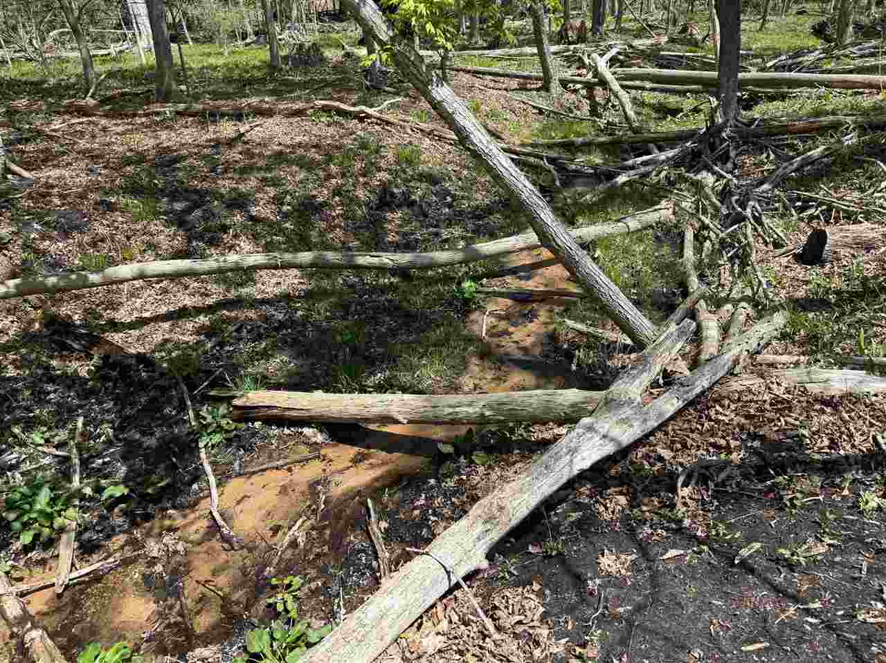 Central Lake, Michigan 49622, United States, ,Land,Active,133712