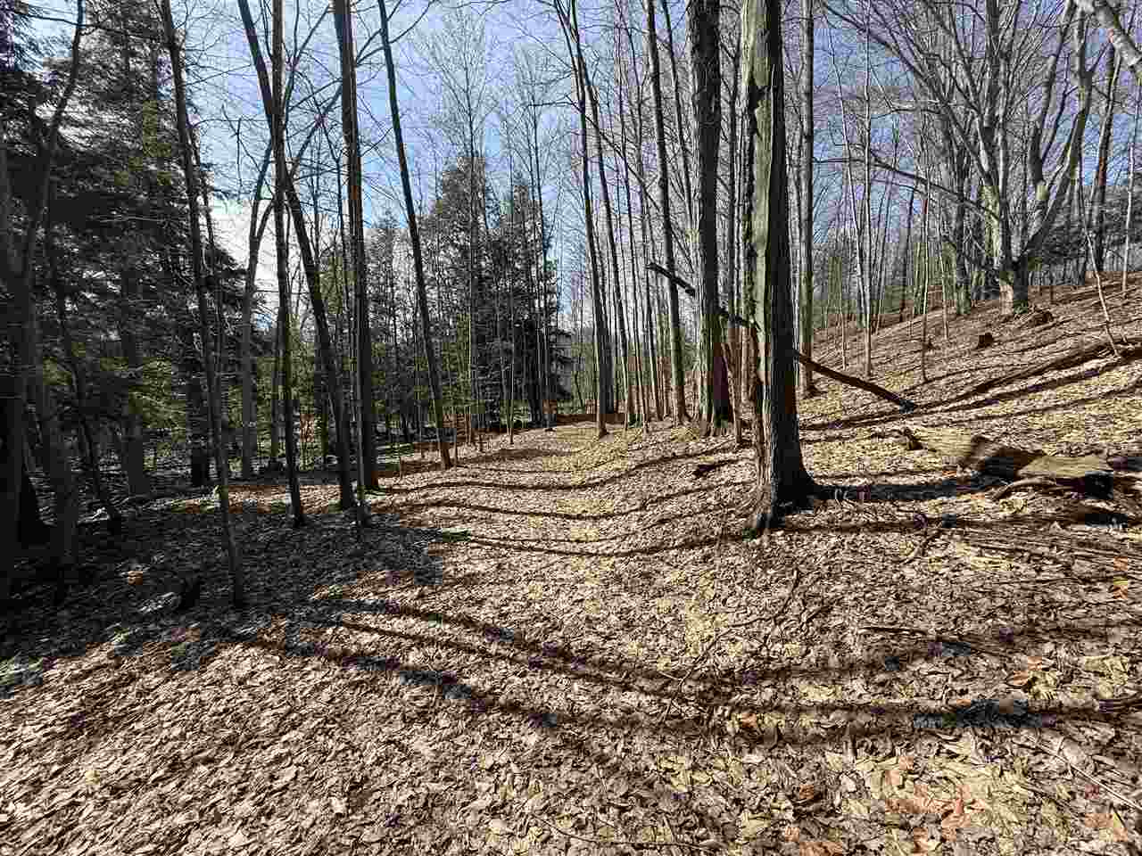 Central Lake, Michigan 49622, United States, ,Land,Active,133712