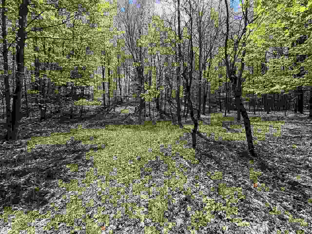 Central Lake, Michigan 49622, United States, ,Land,Active,133712