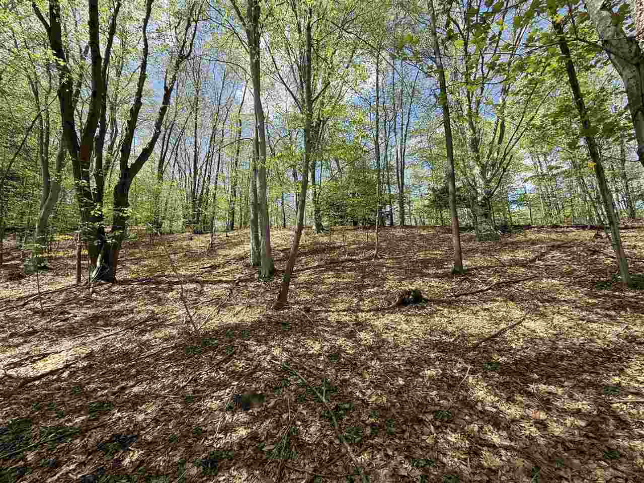 Central Lake, Michigan 49622, United States, ,Land,Active,133712