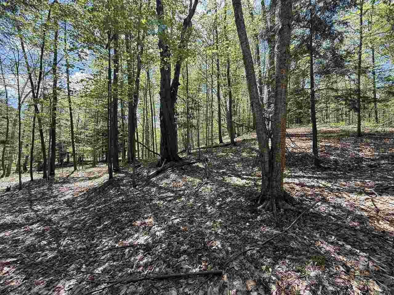 Central Lake, Michigan 49622, United States, ,Land,Active,133712