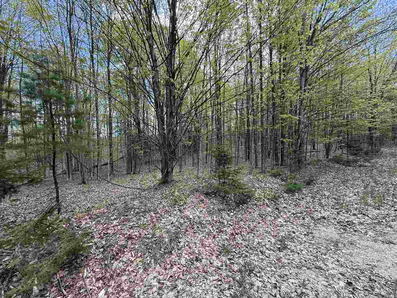 Central Lake, Michigan 49622, United States, ,Land,Active,133712