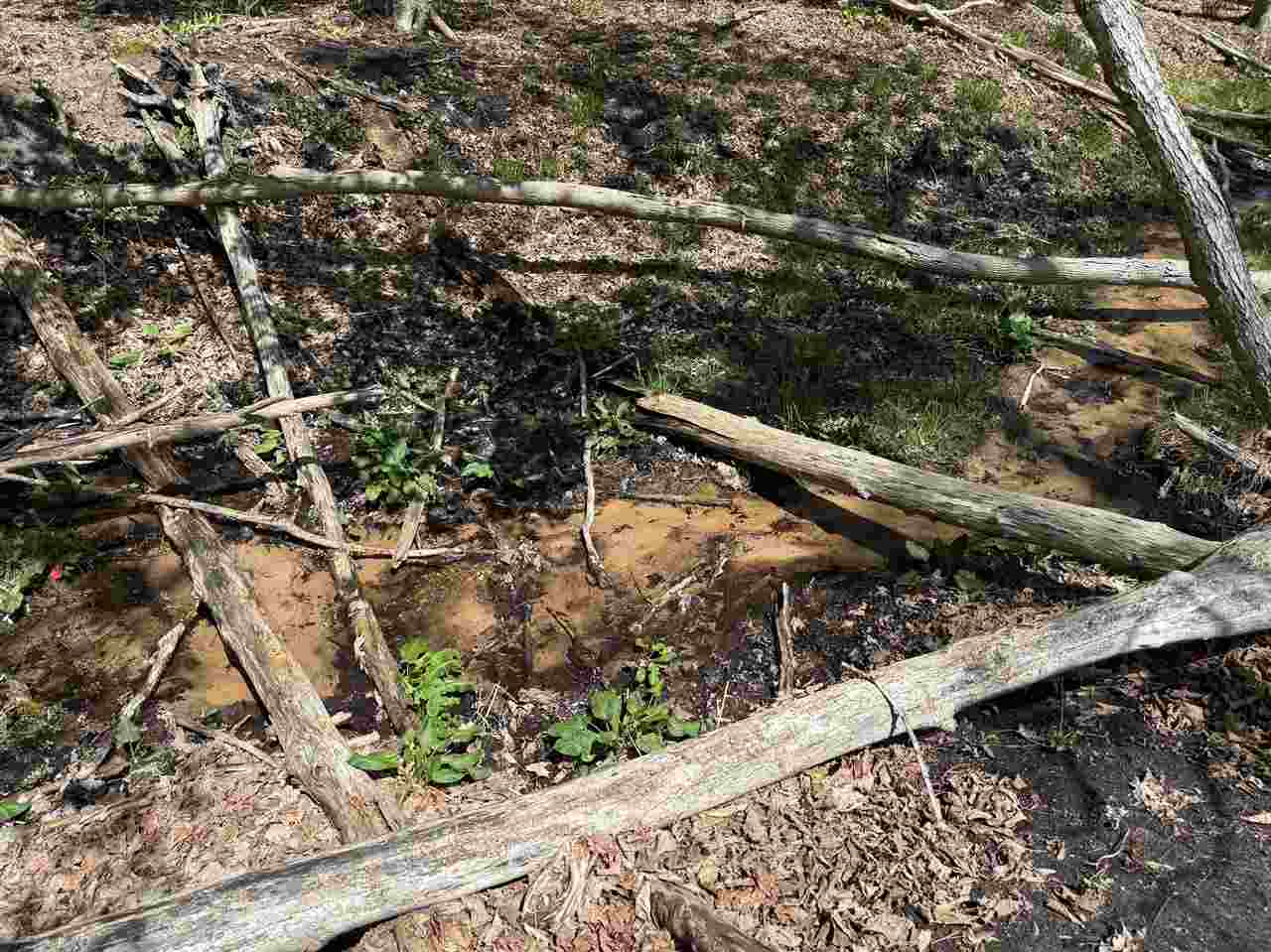 Central Lake, Michigan 49622, United States, ,Land,Active,133712