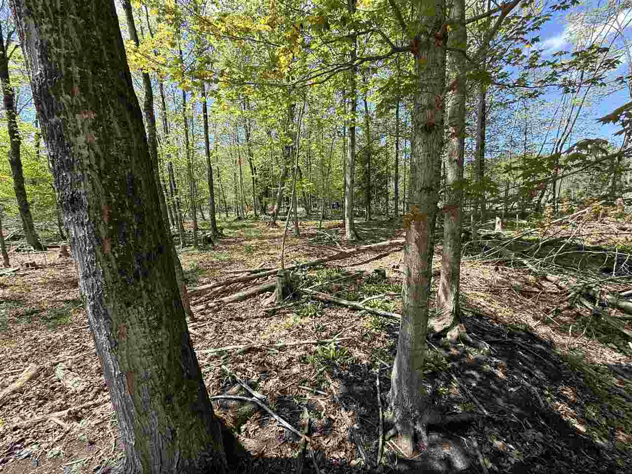 Central Lake, Michigan 49622, United States, ,Land,Active,133712