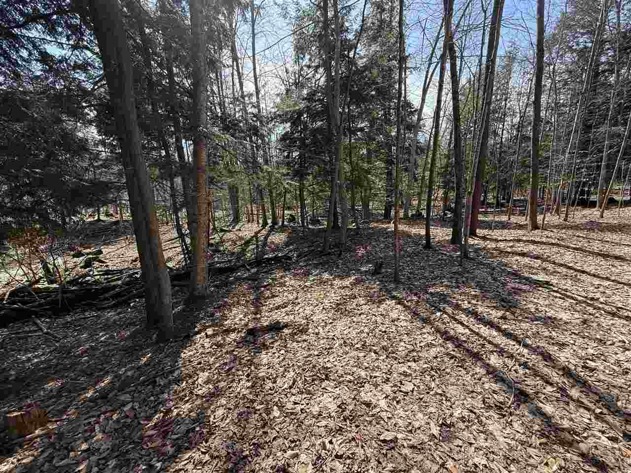 Central Lake, Michigan 49622, United States, ,Land,Active,133712