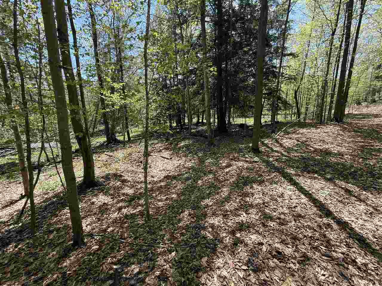 Central Lake, Michigan 49622, United States, ,Land,Active,133712