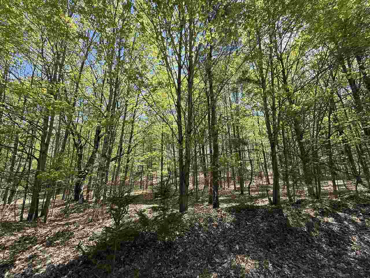 Central Lake, Michigan 49622, United States, ,Land,Active,133712 Central Lake, Michigan 49622, United States, ,Land,Active,133712